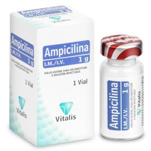 AMPICILINA 1GR CX 1 VIAL (VITALIS)