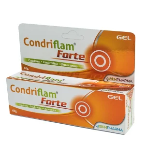 CONDRIFLAM FORTE GEL TX 60 GR (BKM)