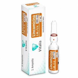 LINCOMICINA 300MG/1ML CX 1 AMP (VITALIS)