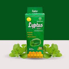 LYPTUS MIEL HIERBABUENA CX24 SOBX5TAB (EUCALIPTO+PROPOLEO+ VITAMINA C)(MEDICAL FARMA LC)