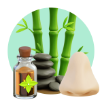 Aromaterapia y Bienestar Natural