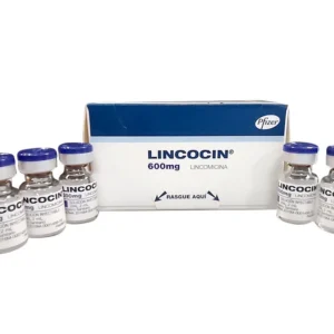 LINCOCIN 600 MG/2 ML SLN INY - CAJA x 5 VIALES