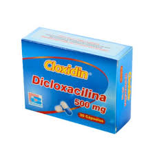 CLOXIDIN 500MG CX 20 CAP (DICLOXACILINA)(BIOQUIFAR) - BIOQUIFAR