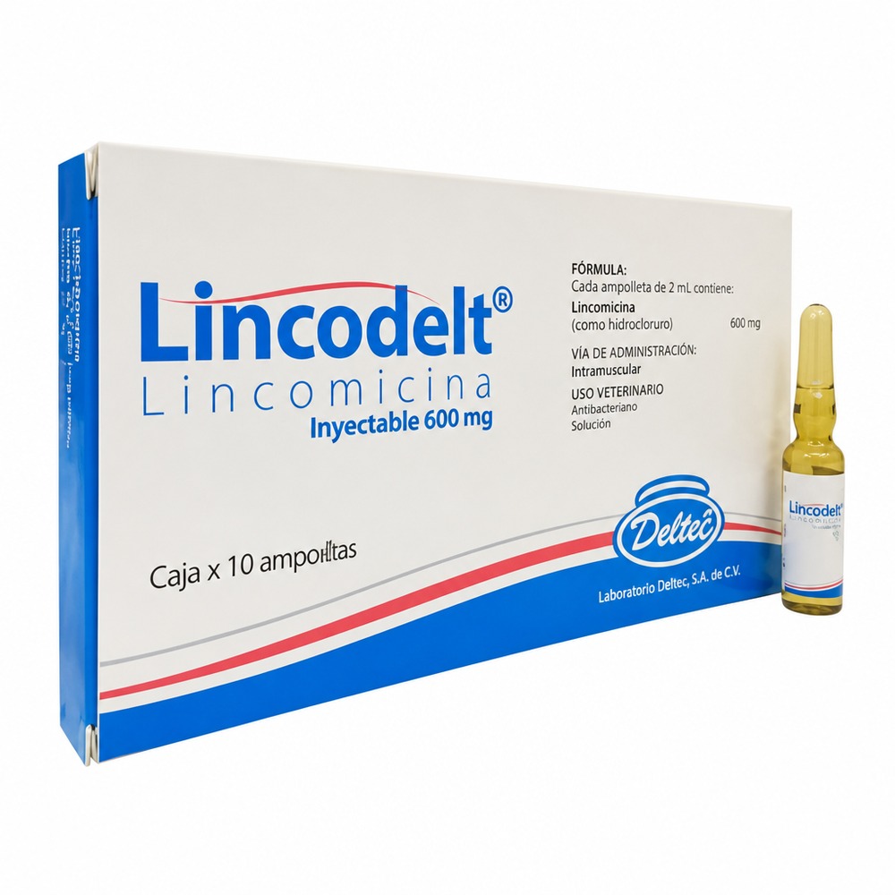 LINCOMICINA 600 MG SLN INY - CAJA x 10 AMP x 2 ML (LINCODELT)