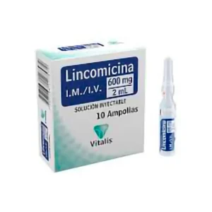 LINCOMICINA 600MG/2ML CX10 AMP (VITALIS) - VITALIS