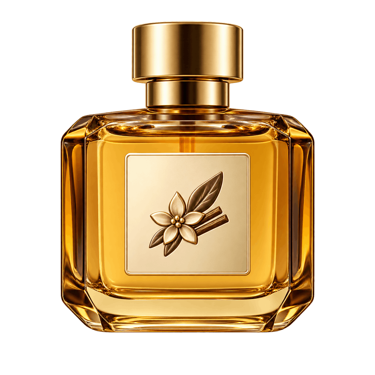 Perfumes de familia olfativa aromática