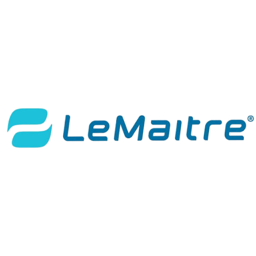 Logo LEMAITRE