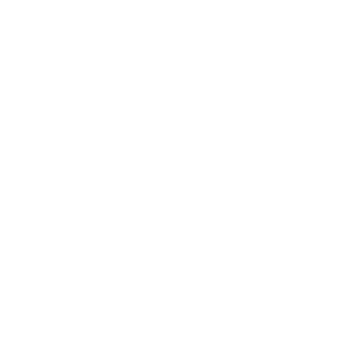 Logo ZERBINI